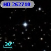 HD 262710