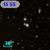 SS  55