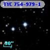 TYC  754-979-1