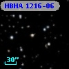 HBHA 1216-06