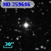 HD 259686