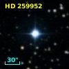 HD 259952