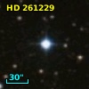 HD 261229