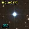 HD 262177