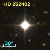 HD 262402