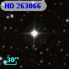 HD 263066