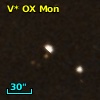V* OX Mon