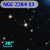 NGC  2264    13