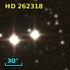 HD 262318