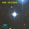 HD 262066