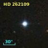 HD 262109