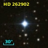 HD 262902