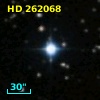 HD 262068
