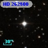 HD 262800