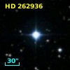 HD 262936
