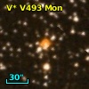 V* V493 Mon