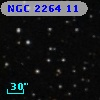 NGC  2264    11