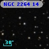 NGC  2264    14
