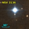 NSV  3136