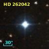HD 262042