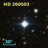 HD 260503