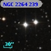NGC  2264   239