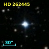 HD 262445