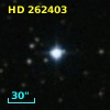 HD 262403