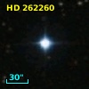 HD 262260