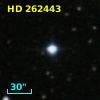 HD 262443