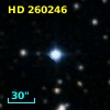 HD 260246