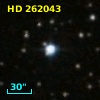 HD 262043