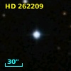 HD 262209