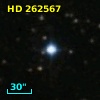 HD 262567