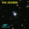 HD 262866