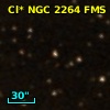 Cl* NGC 2264    FMS     151