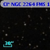 Cl* NGC 2264    FMS     163