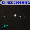 Cl* NGC 2264    FMS  2-597