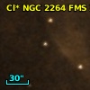 Cl* NGC 2264    FMS     394