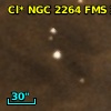 Cl* NGC 2264    FMS  2-1517