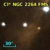 Cl* NGC 2264    FMS     451
