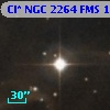 Cl* NGC 2264    FMS     112