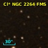 Cl* NGC 2264    FMS      13