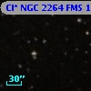 Cl* NGC 2264    FMS      14