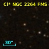 Cl* NGC 2264    FMS      41