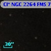 Cl* NGC 2264    FMS      77