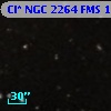 Cl* NGC 2264    FMS     125