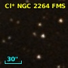 Cl* NGC 2264    FMS     131