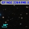 Cl* NGC 2264    FMS     156