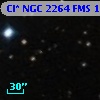 Cl* NGC 2264    FMS     174